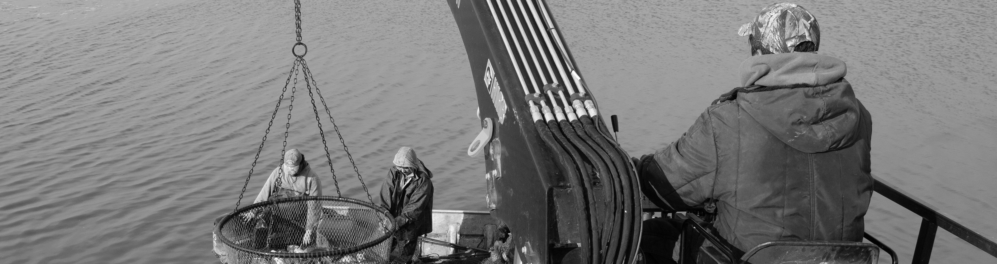 Fish Basket
